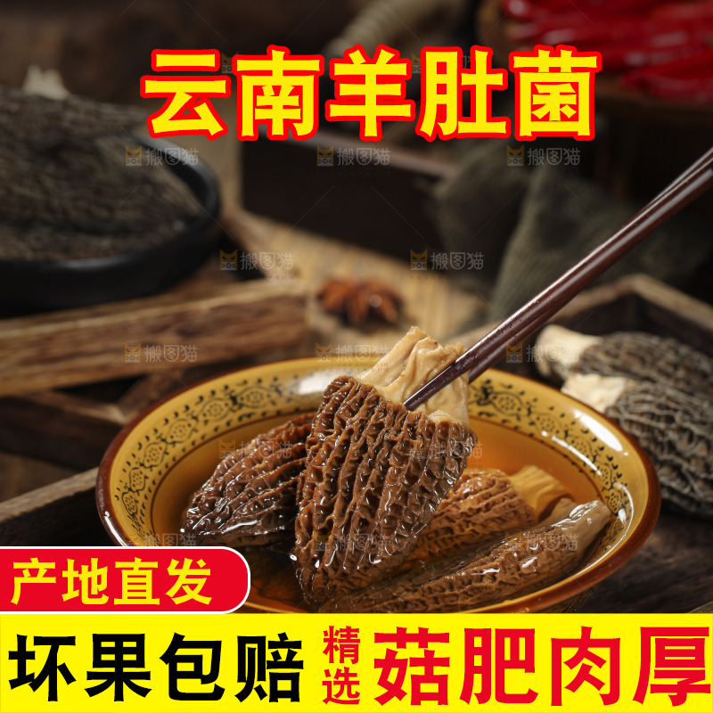 筷子上夹着羊肚菇