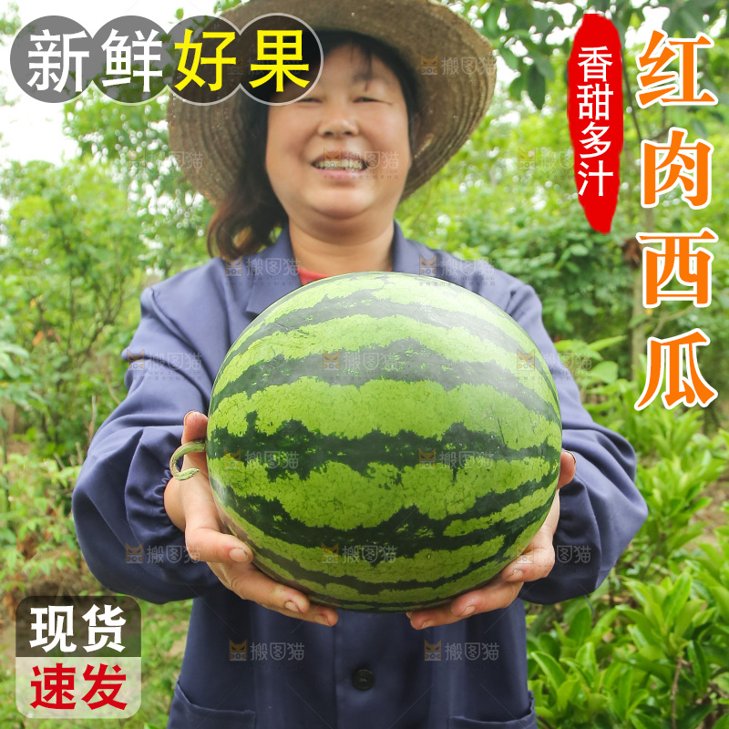 手里抱着西瓜