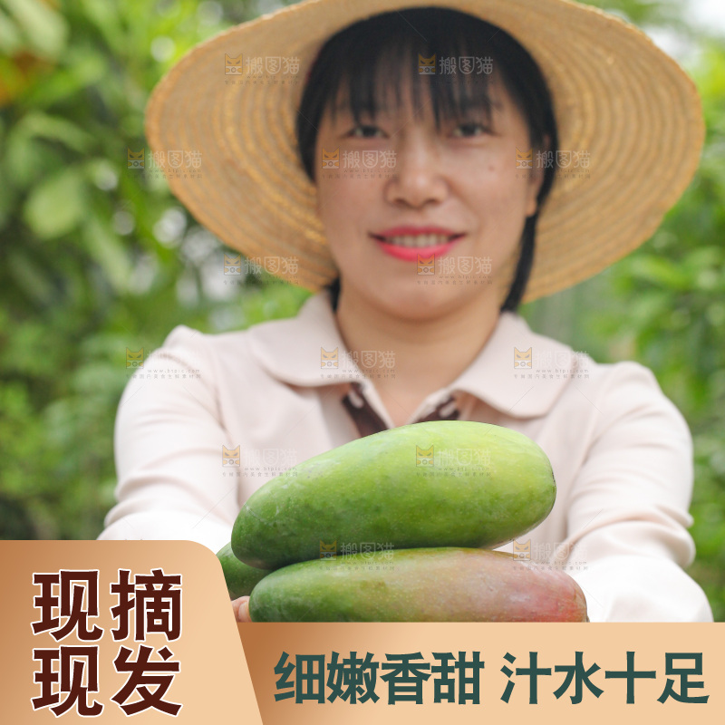 手里捧着金煌芒