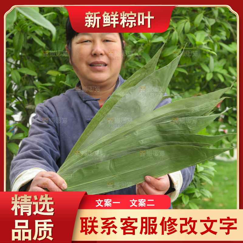 手里拿着大粽叶