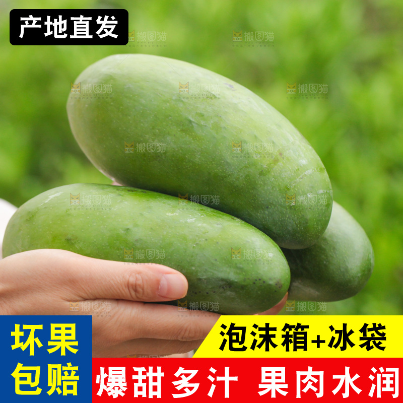 手里捧着金煌芒