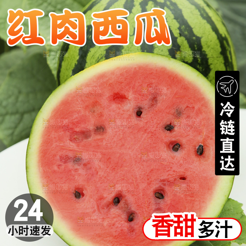 桌子上红肉西瓜