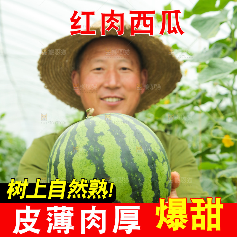 手里抱着个大西瓜