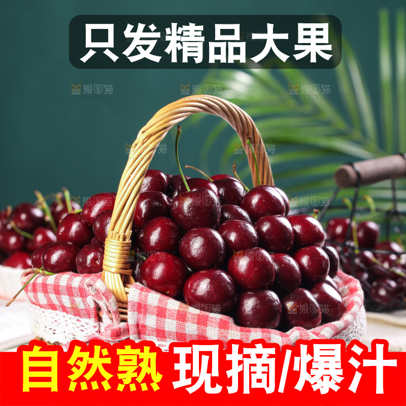 一篮美早大樱桃