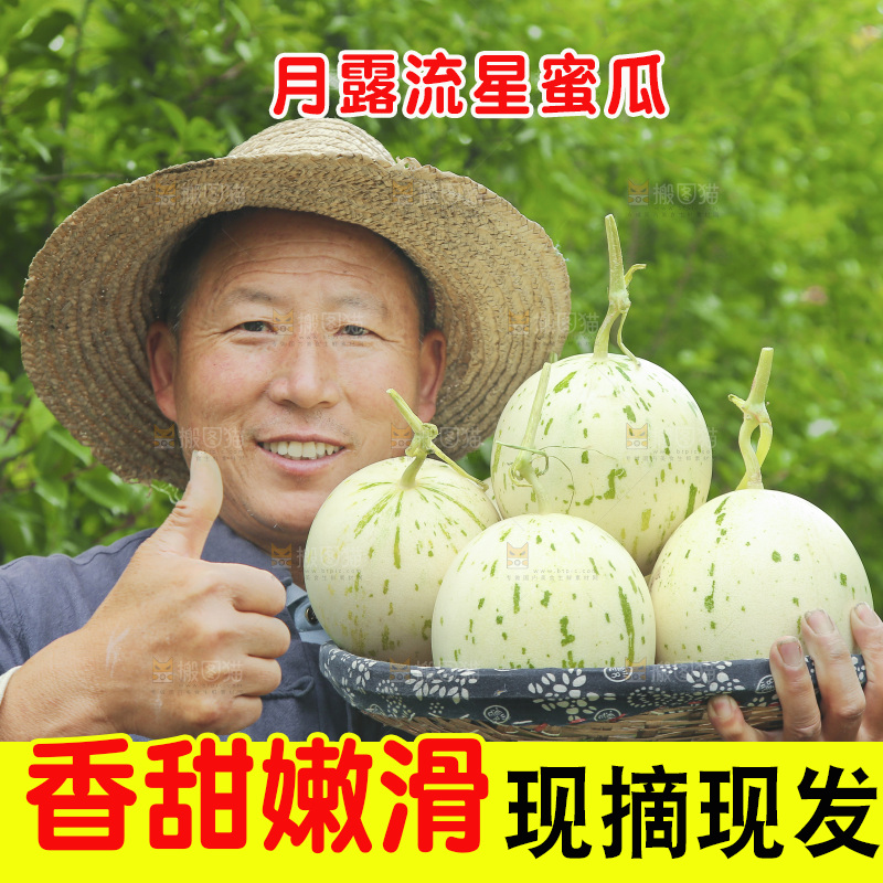 手里端着一篮流星蜜瓜