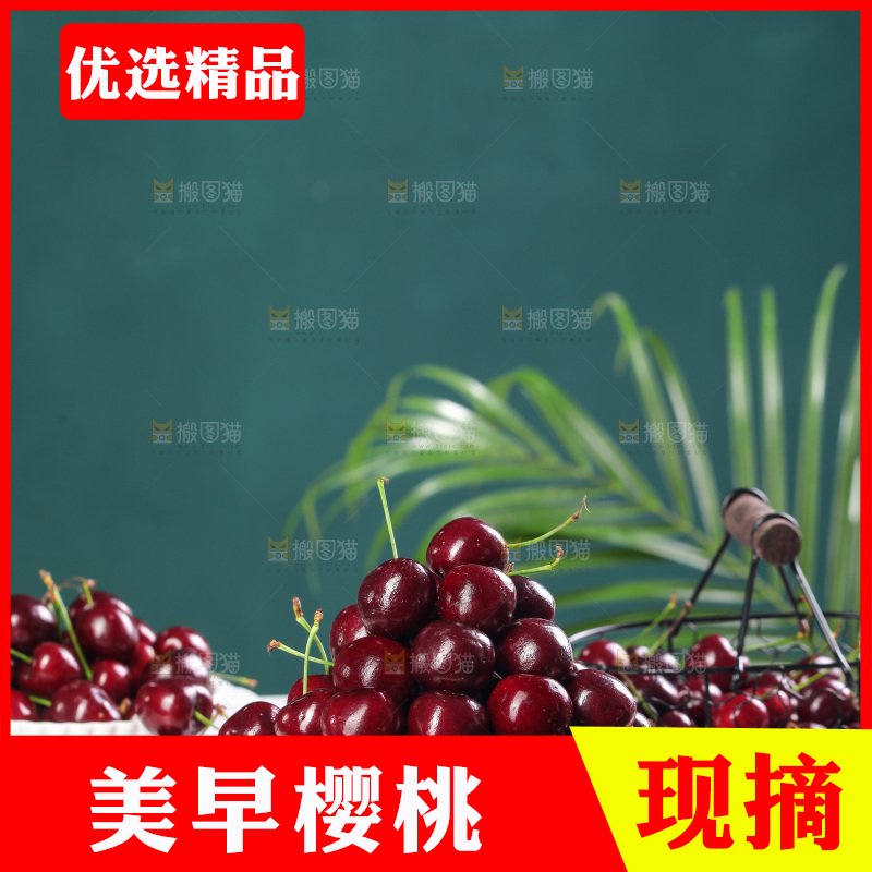 一堆山东大樱桃