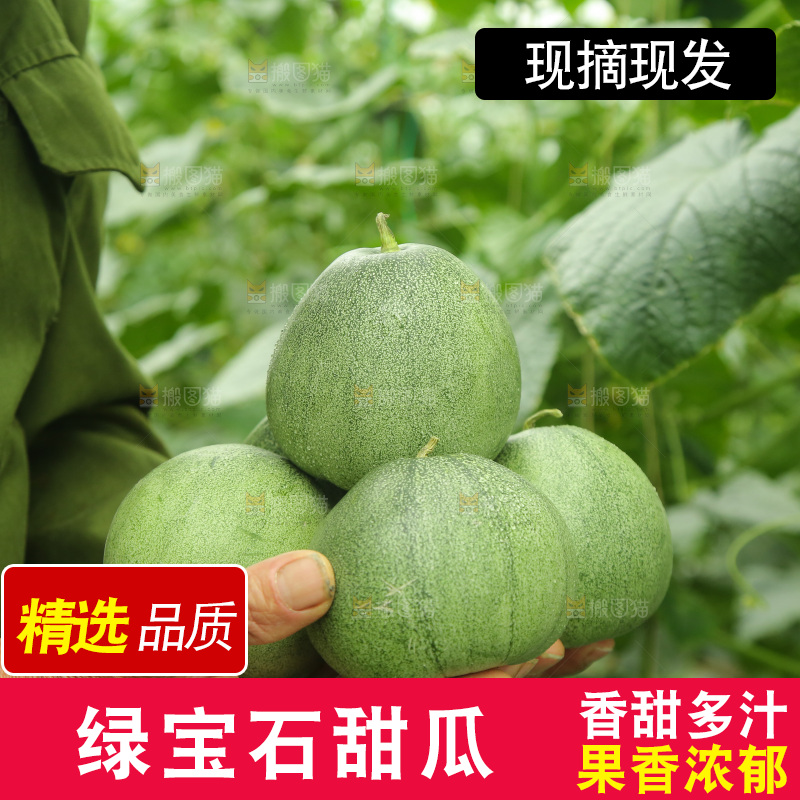 手里捧着绿宝甜瓜