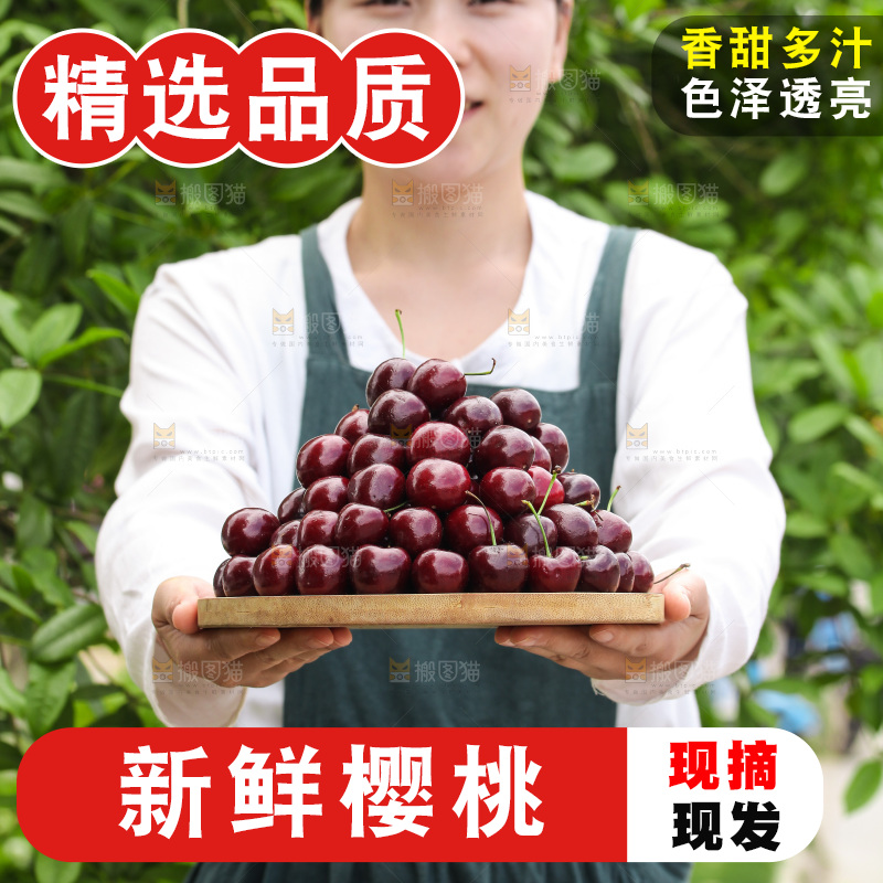 手里端着一盘美早大樱桃