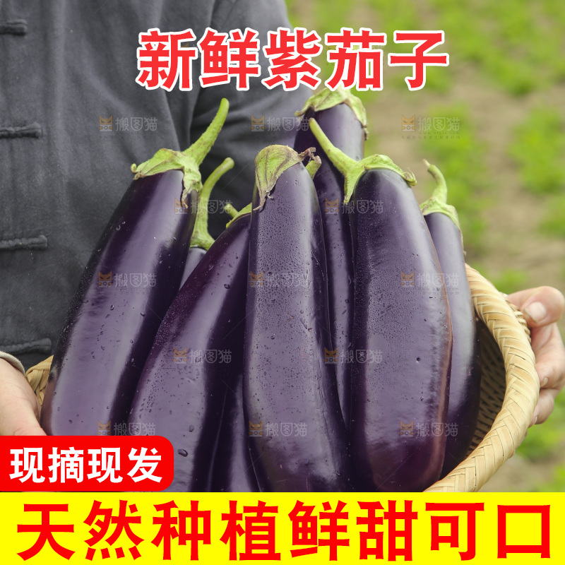 手里端着一篮茄子
