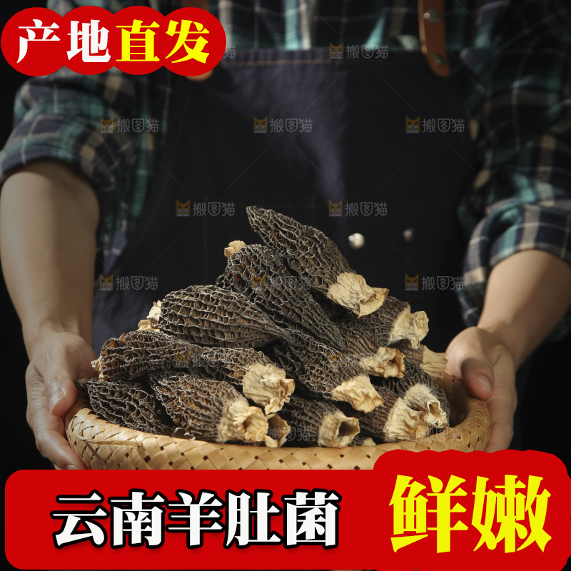 手里端着一篮云南羊肚菌