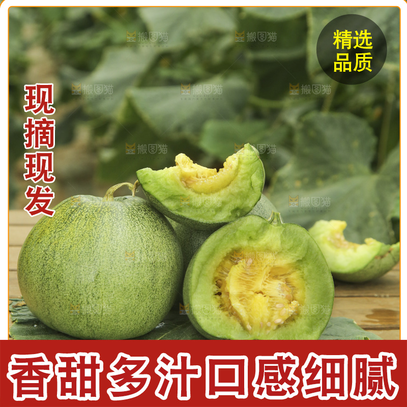 桌子上摆放着绿宝甜瓜