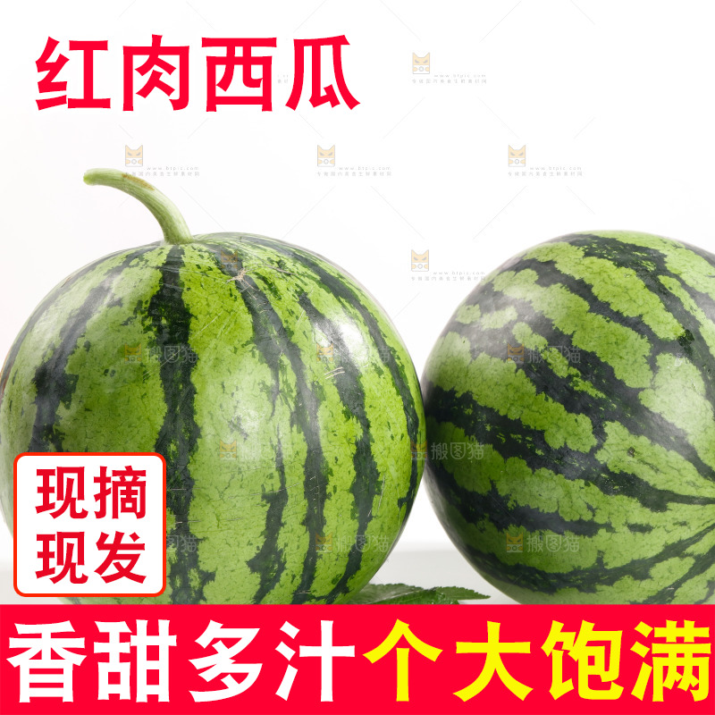 白底上放着麒麟西瓜