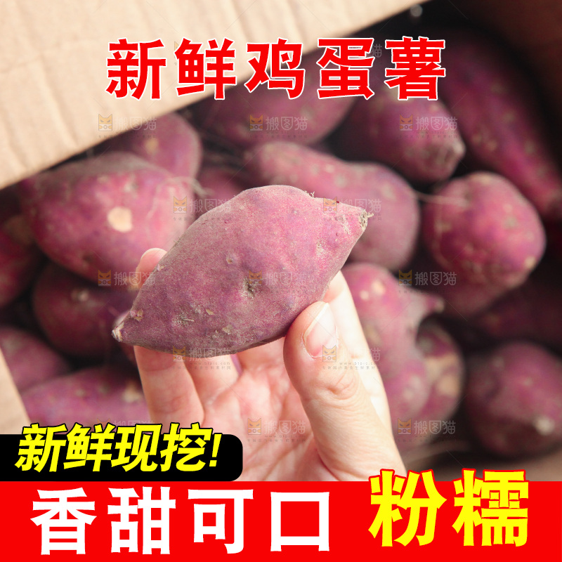 手里拿着鸡蛋小香薯