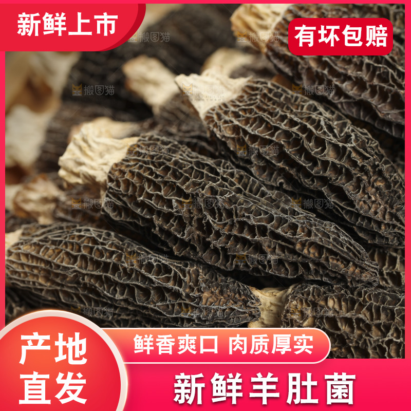 一盘干羊肚菌