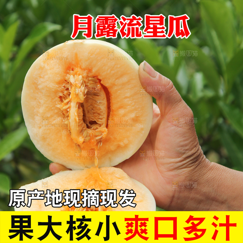 手里拿着红心月露流星蜜瓜