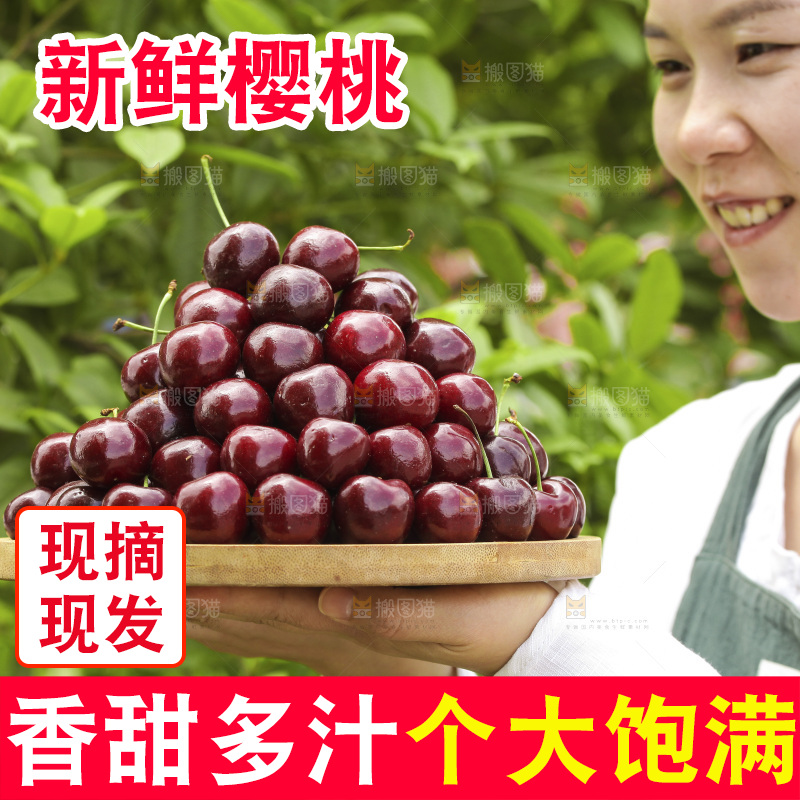 手里端着一盘美早大樱桃