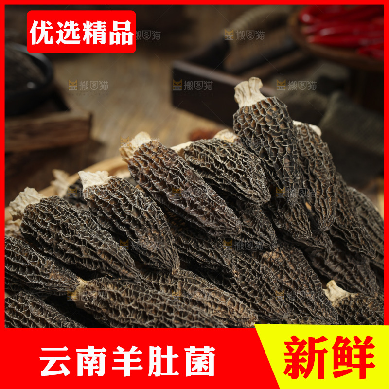 一盘干羊肚菌