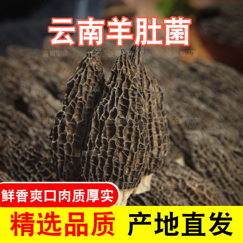 一盘羊肚菌
