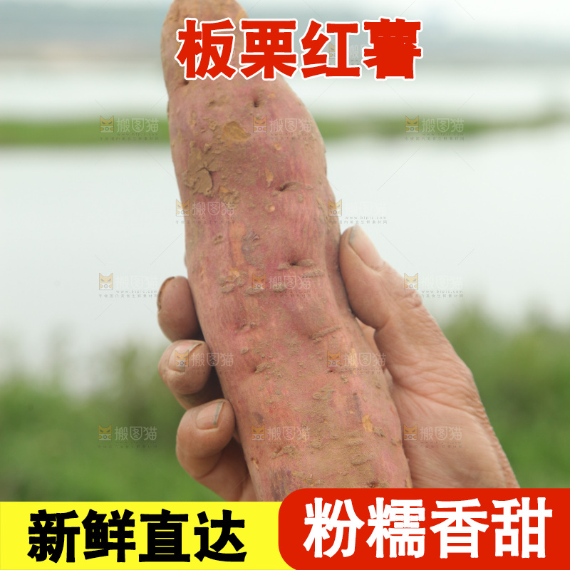 手里拿着板栗红薯