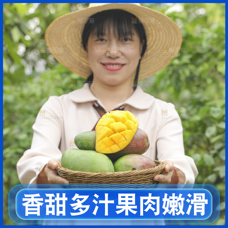 手里端着一篮金煌芒