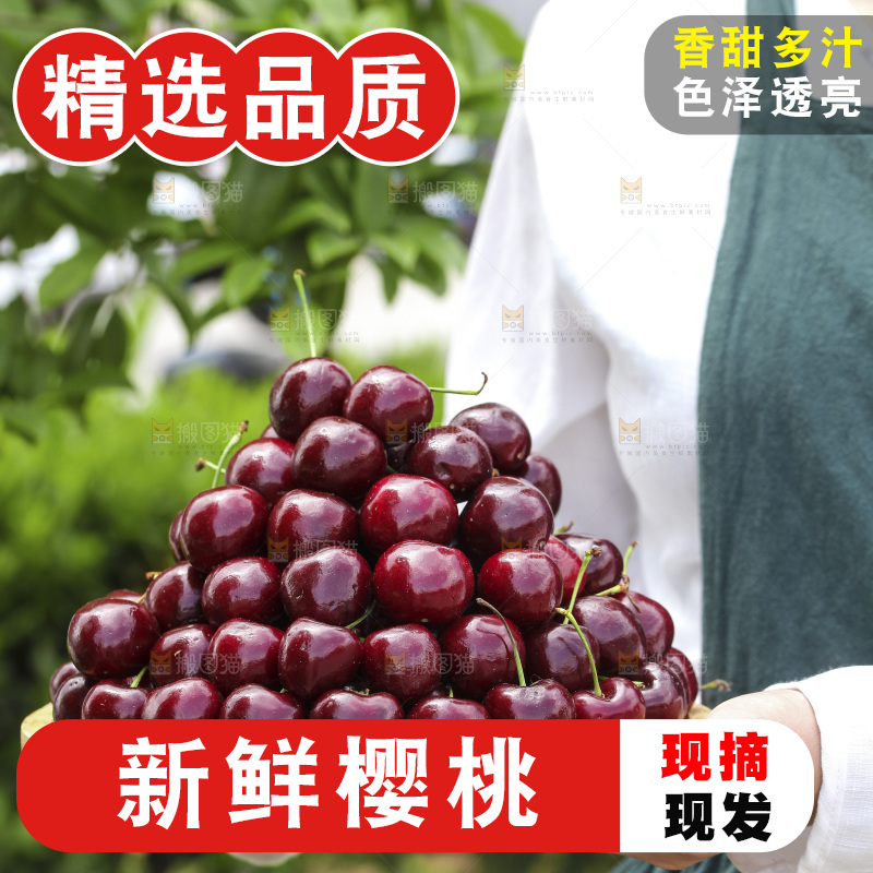 手里端着一盘美早大樱桃