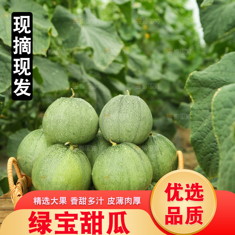桌子上放着一篮绿宝甜瓜