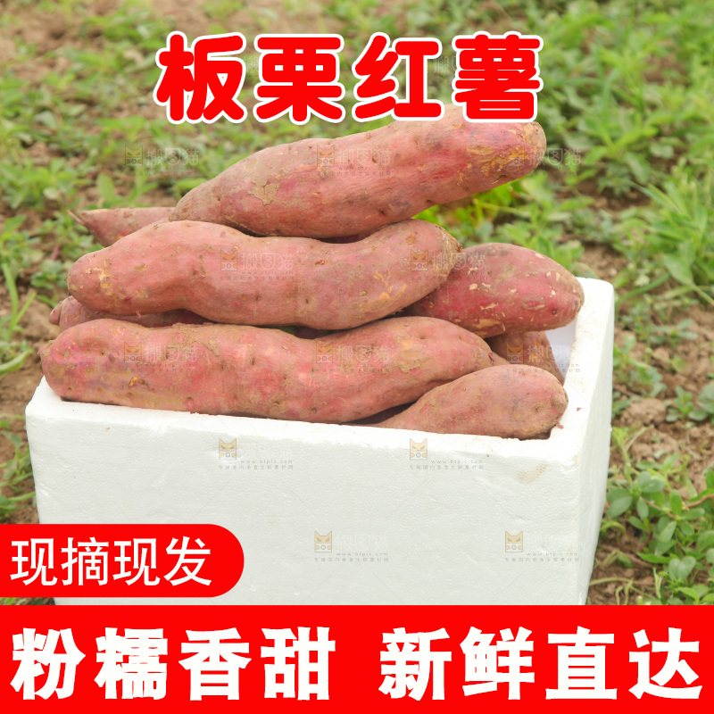 一箱白心板栗红薯
