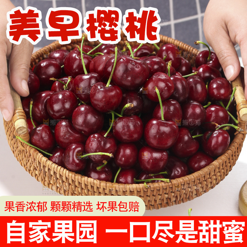 手里端着一篮山东大樱桃
