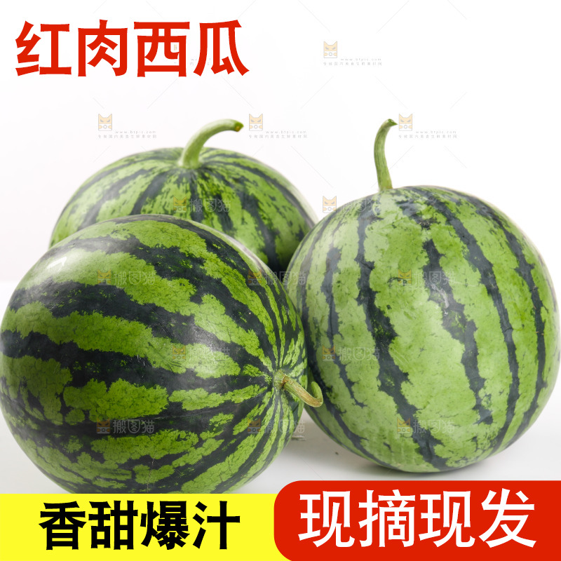 白底上放着麒麟西瓜