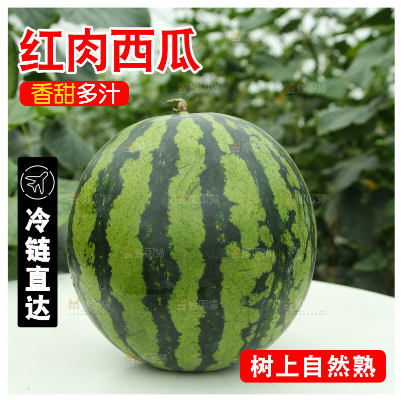 桌子上放着一个麒麟西瓜