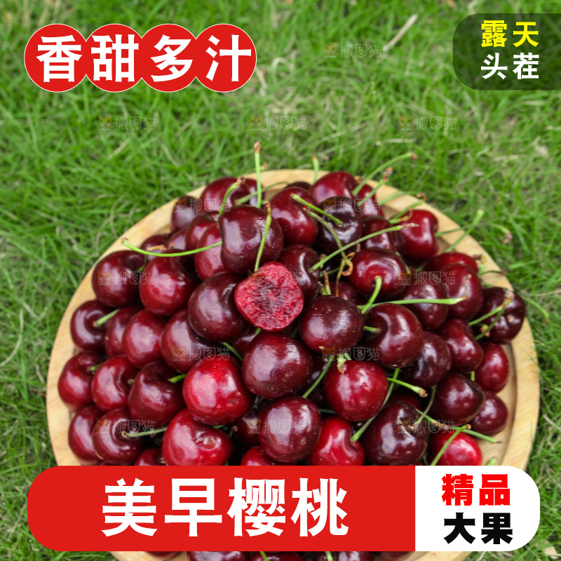 一盘新鲜大樱桃