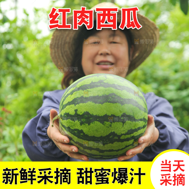 手里抱着西瓜