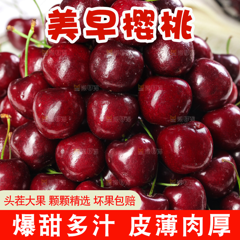 一堆山东大樱桃
