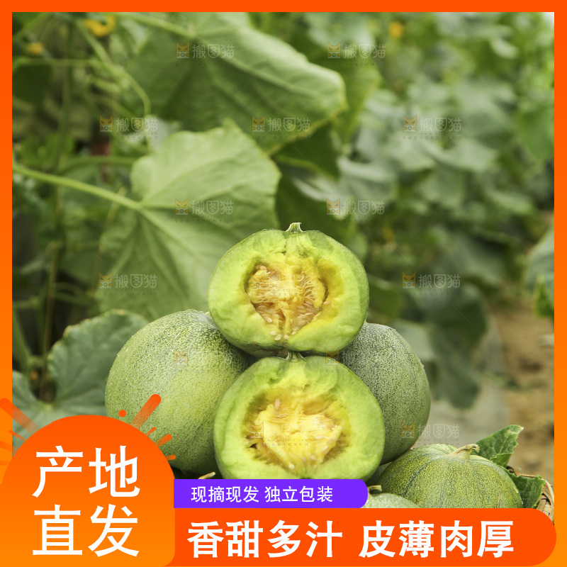 一篮新鲜绿宝甜瓜