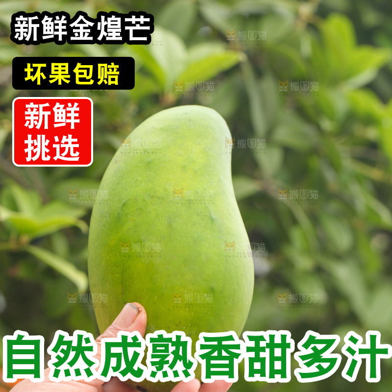 手里拿着青金煌芒