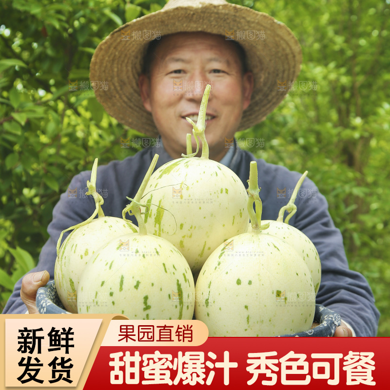 手里端着一篮月露流星蜜瓜