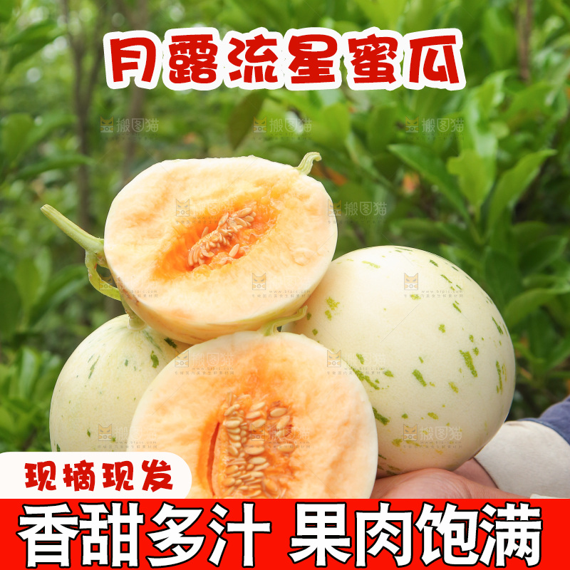 手里捧着红心月露流星蜜瓜