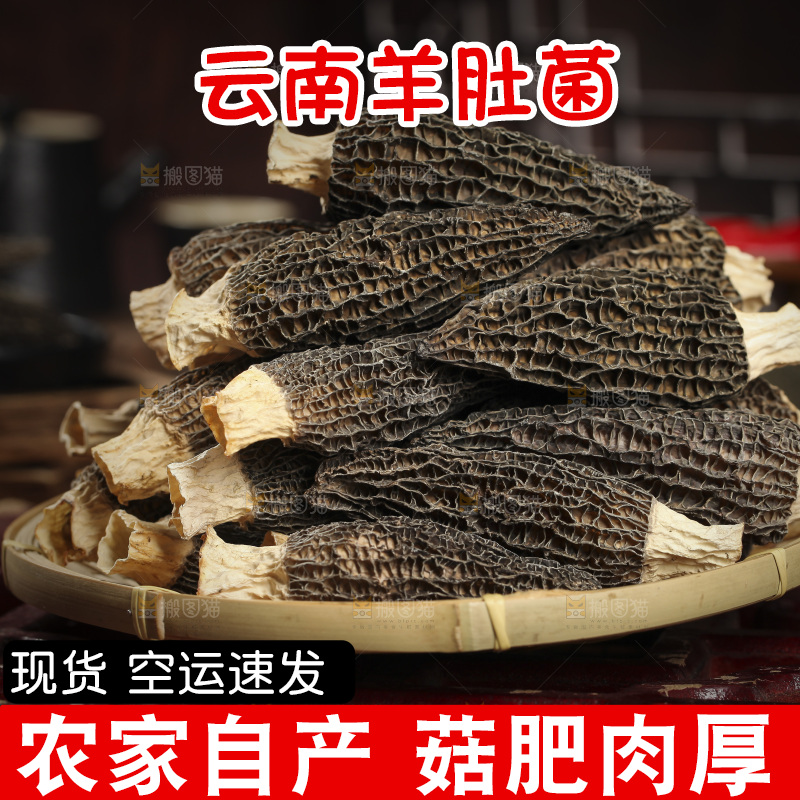一篮云南羊肚菌