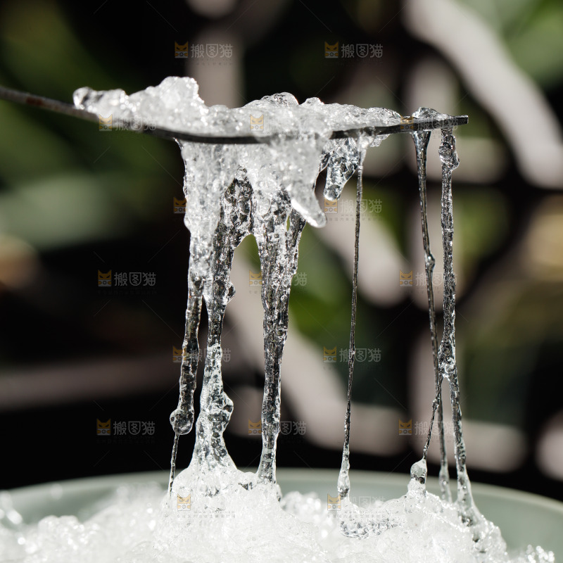 一碗拉丝雪燕