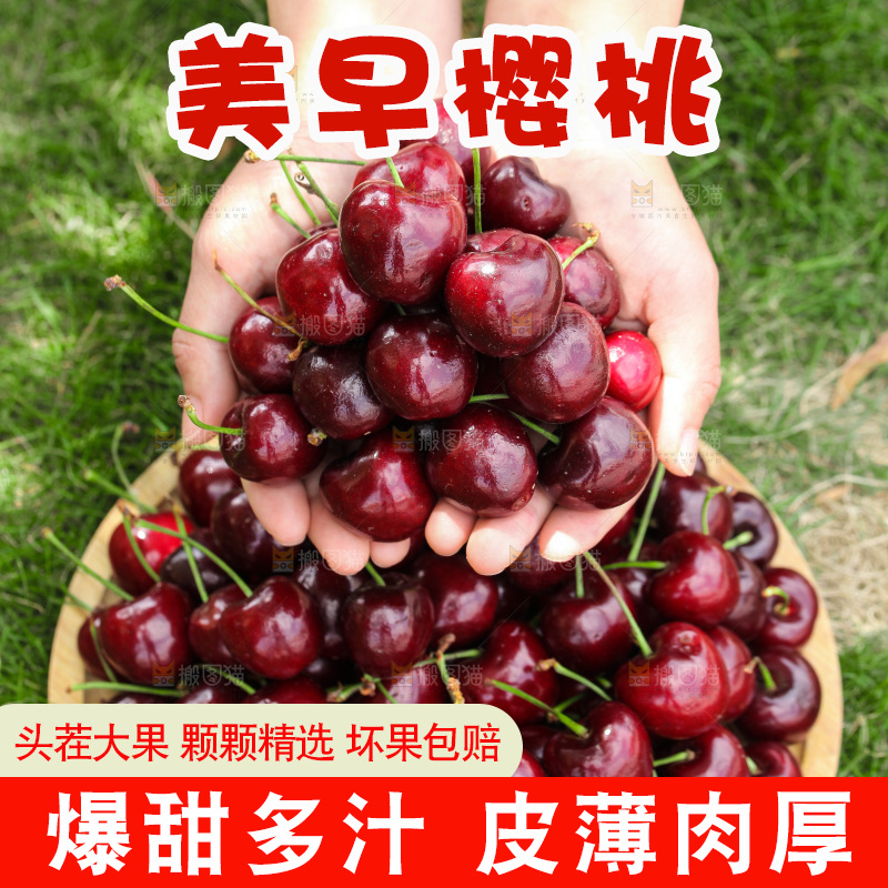 手里捧着车厘子