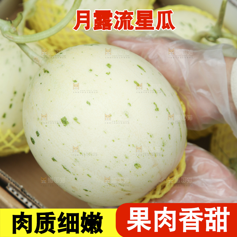 手里捧着月露流星蜜瓜