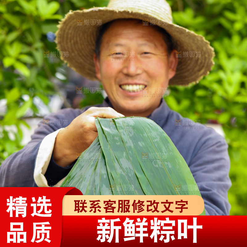 手里拿着粽叶