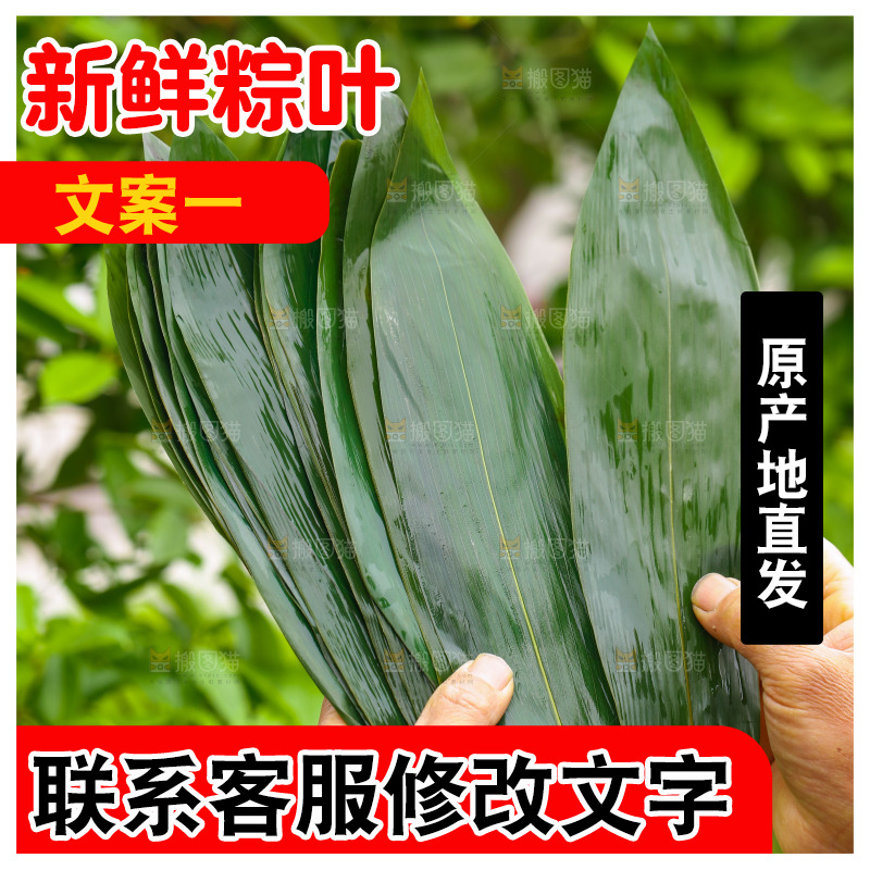 手里拿着粽子叶