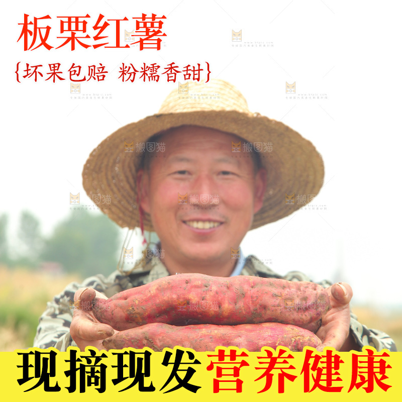 手里拿着板栗薯