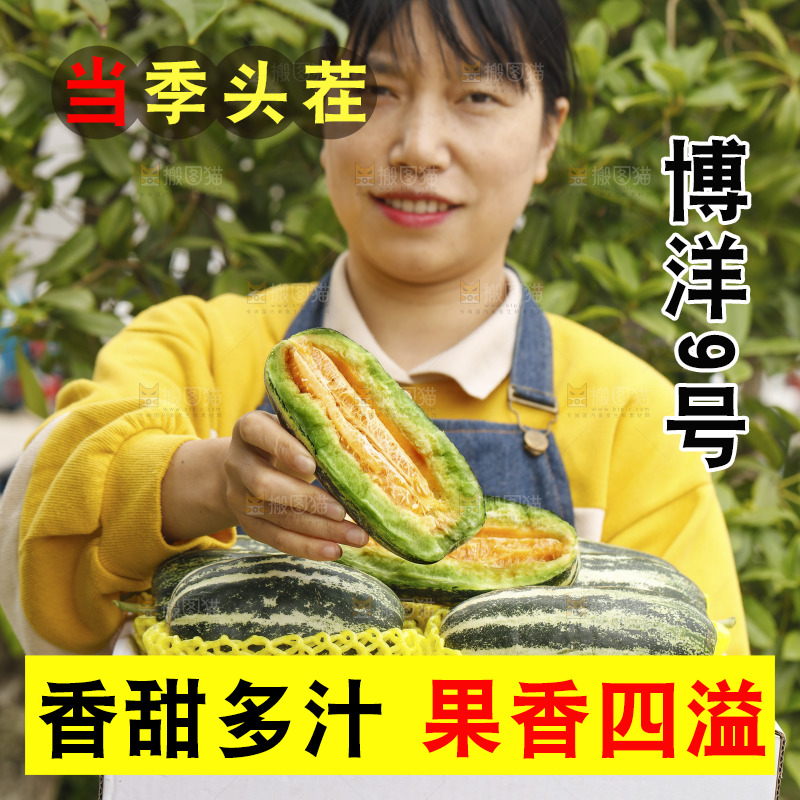 手里端着一箱博洋9号