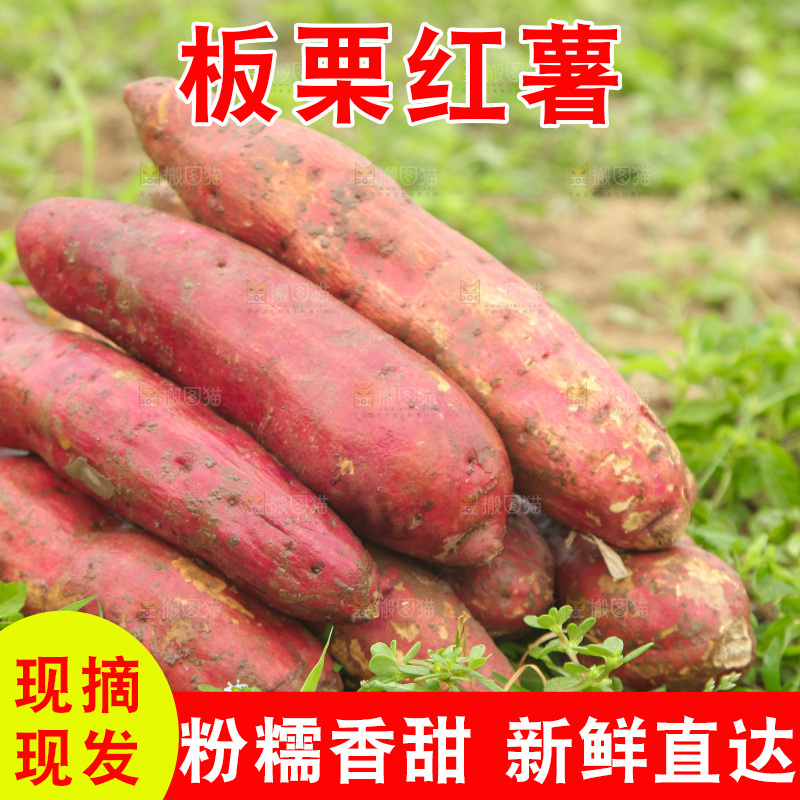一堆新鲜板栗红薯