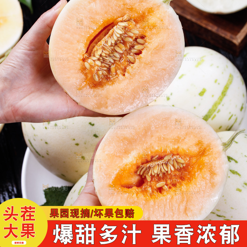 手里拿着红露流星蜜瓜