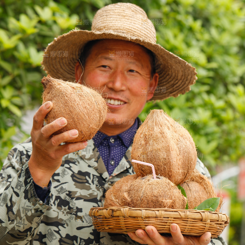 手里拿着海南老椰子