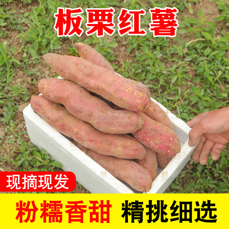 一箱白心板栗红薯
