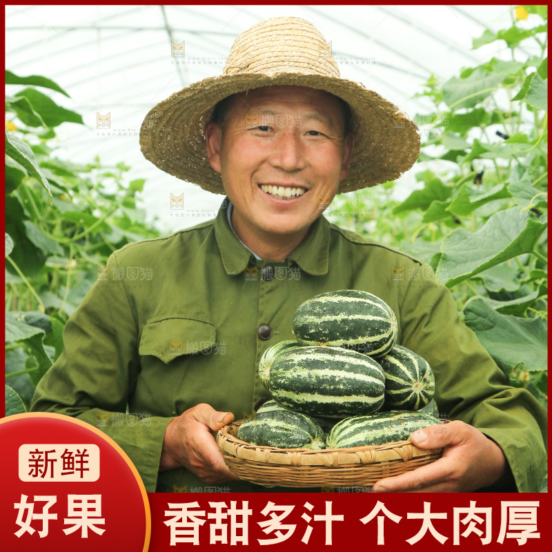 手里端着一篮博洋9号